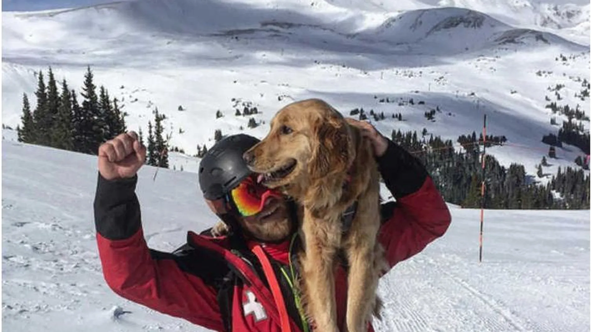 Mason, el perro que se juega la vida en la nieve para salvar la vida de otras personas 