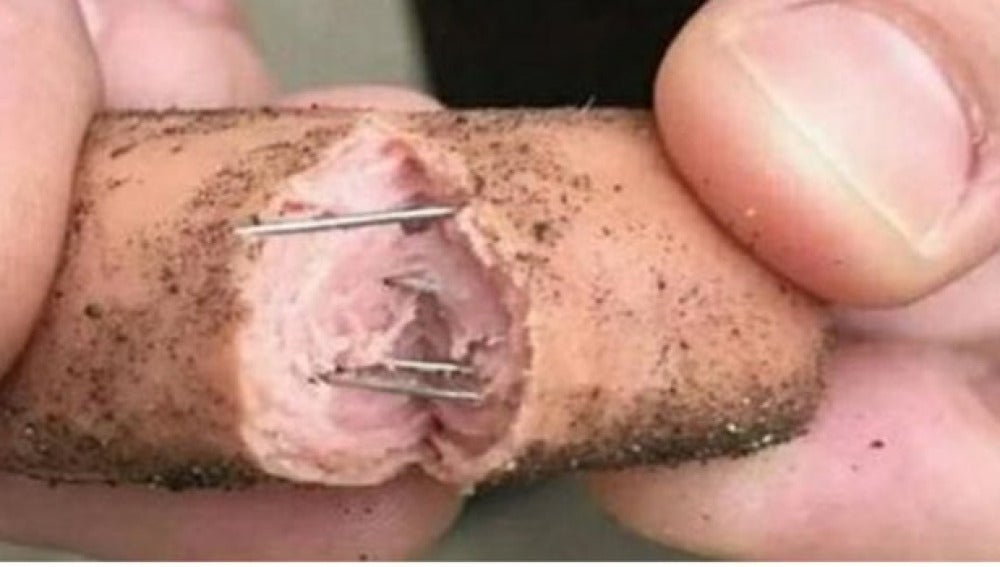 Salchichas con clavos en su interior