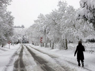 Carreteras nevadas