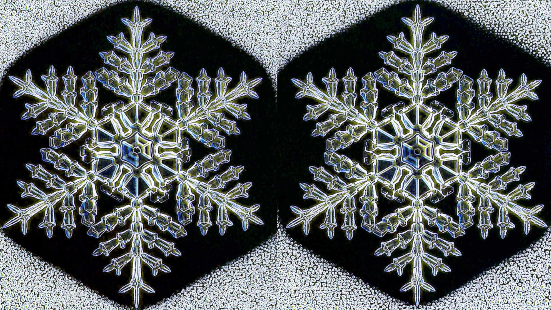 Dos copos de nieve iguales Dos copos de nieve iguales