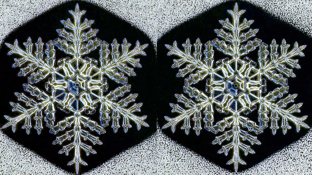 Dos copos de nieve iguales