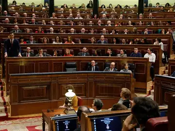 El hemiciclo del Congreso de los Diputados El hemiciclo del Congreso de los Diputados