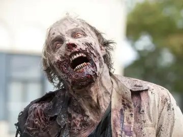 Zombies Zombies