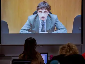 Luis Tejeiro durante su declaración en el juicio por el caso Nóos Luis Tejeiro durante su declaración en el juicio por el caso Nóos