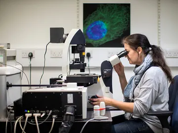 Científicos estadounidenses investigan contra el cáncer Científicos estadounidenses investigan contra el cáncer