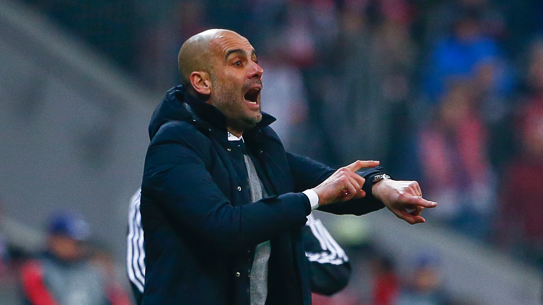 Guardiola durante el partido del Bayern en el Allianz Guardiola durante el partido del Bayern en el Allianz