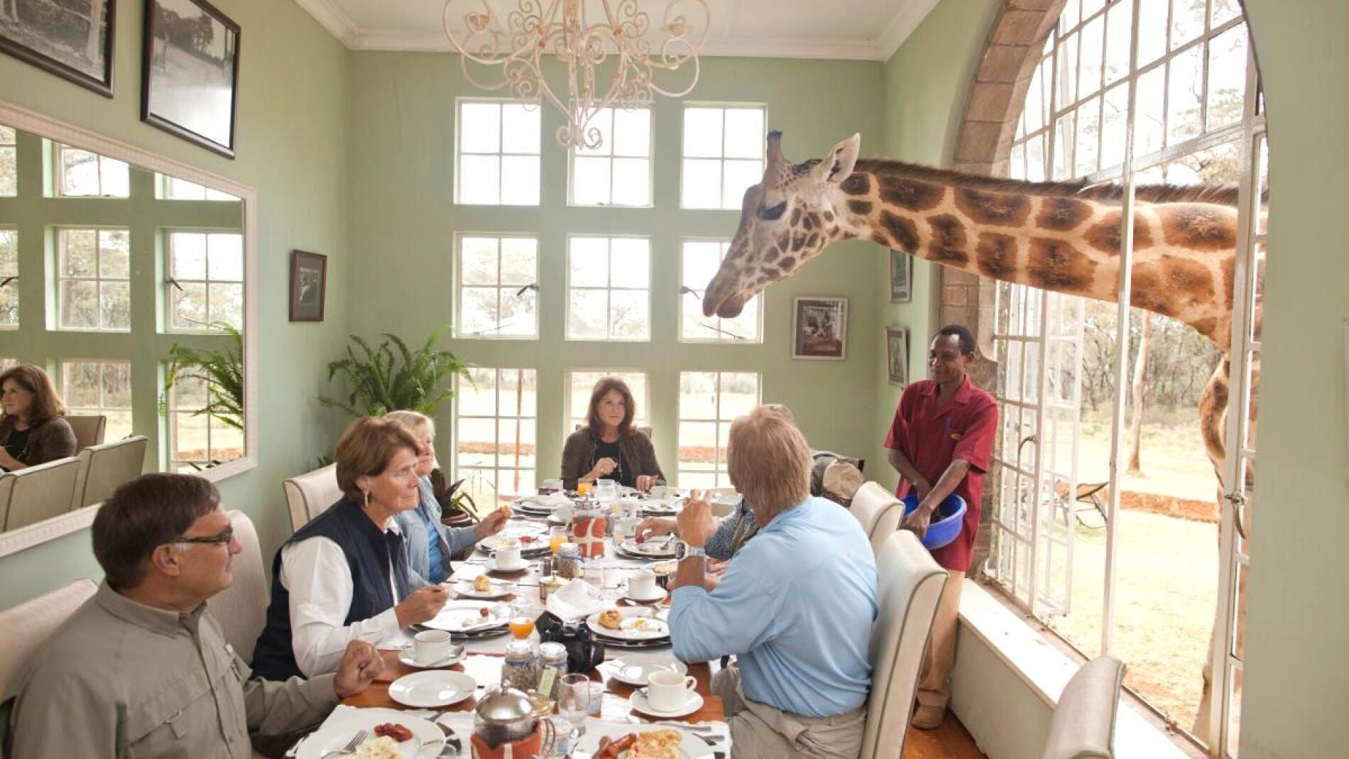 Comensales con una jirafa