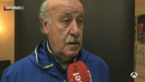 Vicente del Bosque, seleccionador nacional