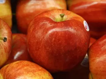 manzana manzana