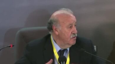 Vicente del Bosque: 
