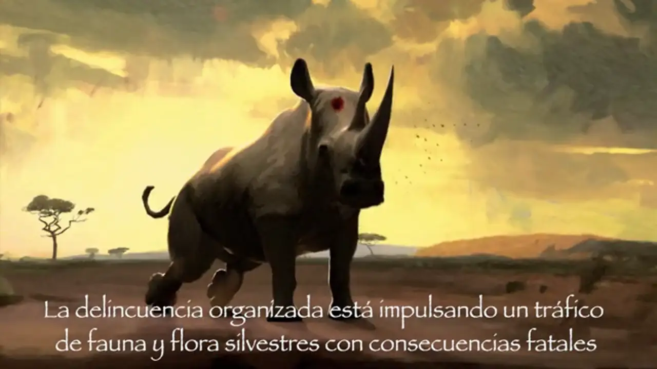 SeriousAboutWildlifeCrime