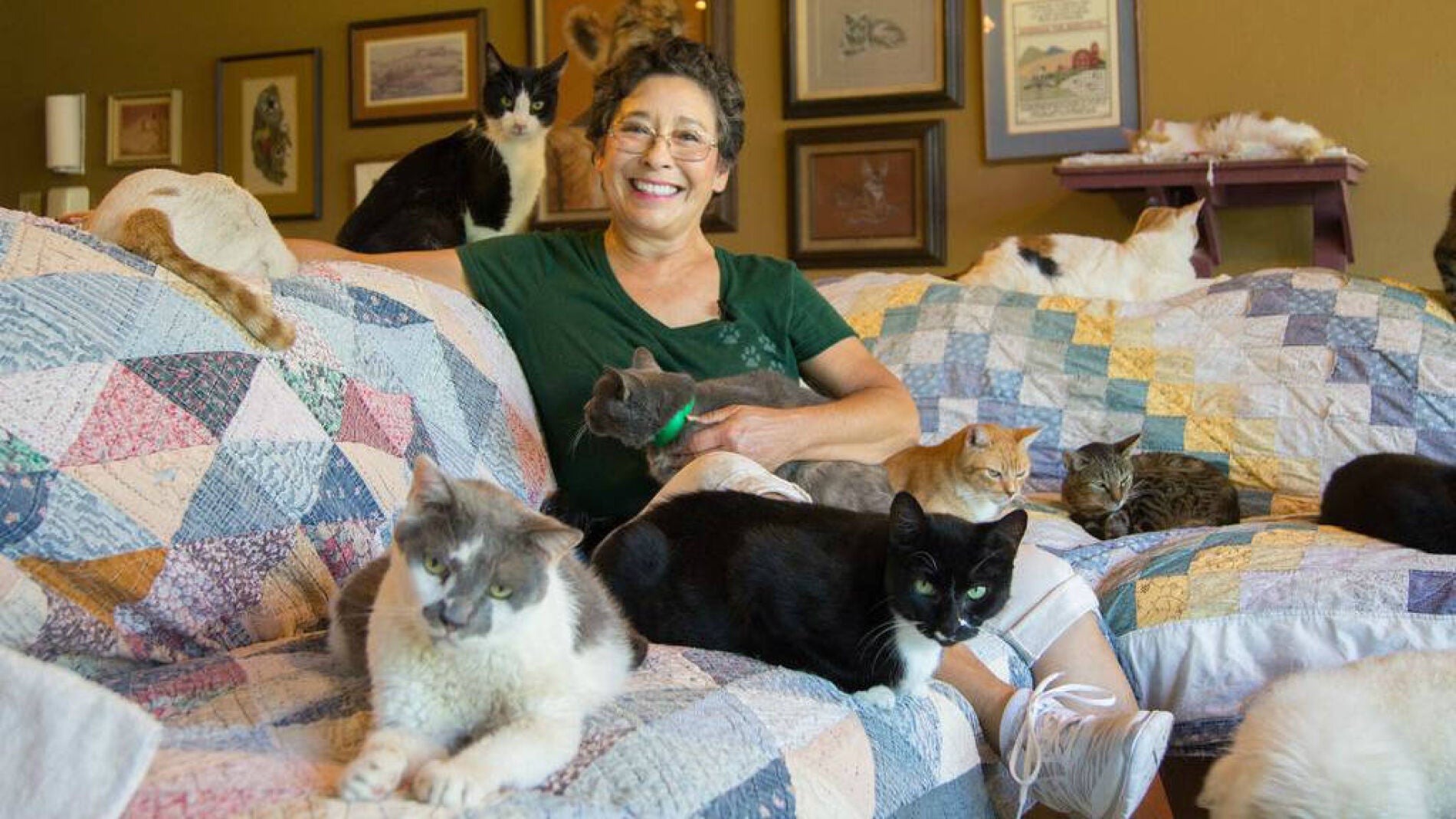 Lynea Lattanzio viv&iacute;a con mil gatos 