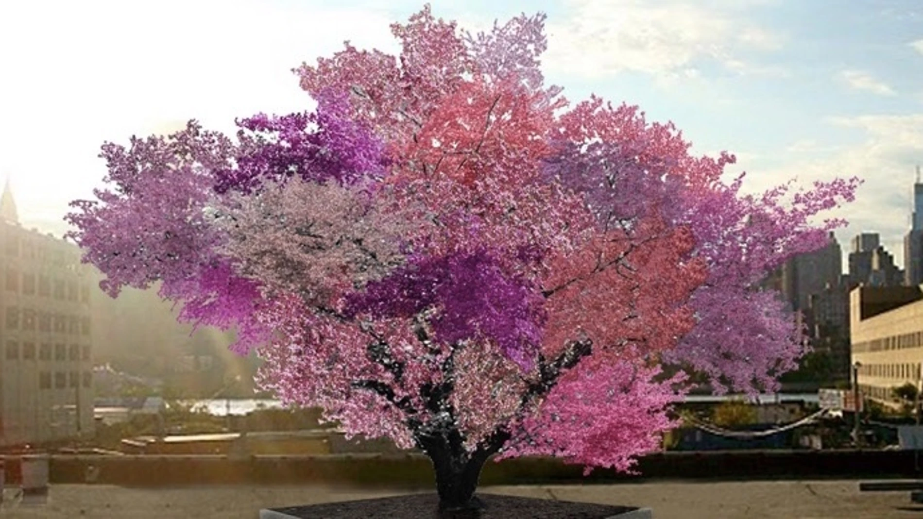 Crean un árbol que da más de 40 tipos de frutos diferentes