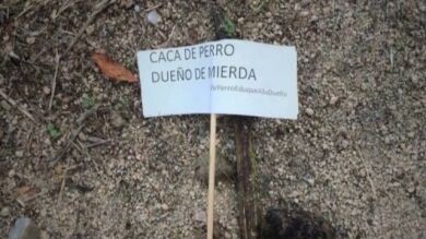 Carmena perdonará las multas por dejar excremento de los perros en la calle a cambio de trabajos de barrenderos