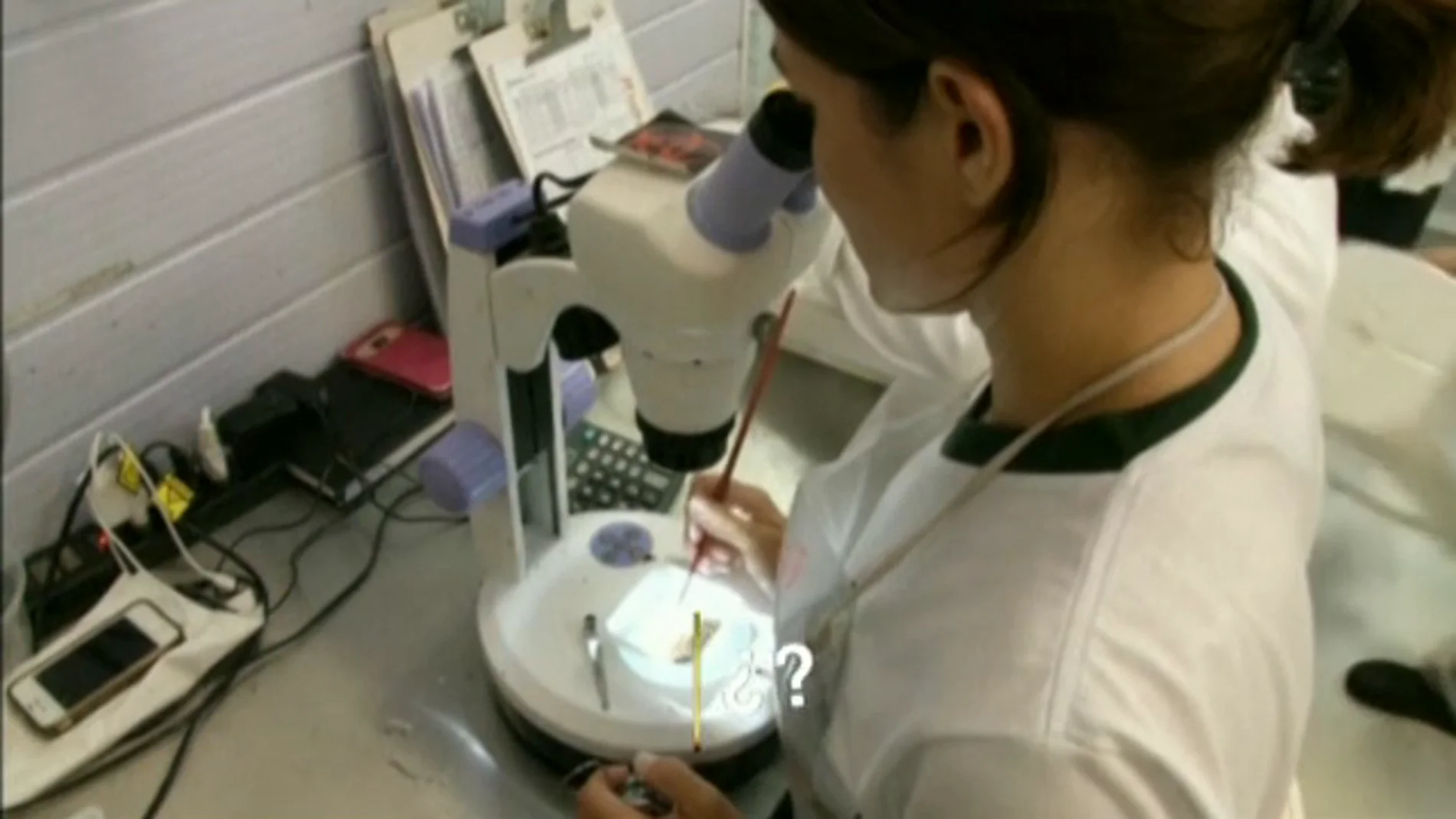 Frame 22.737199 de: Las cinco preguntas clave sobre el zika Frame 22.737199 de: Las cinco preguntas clave sobre el zika