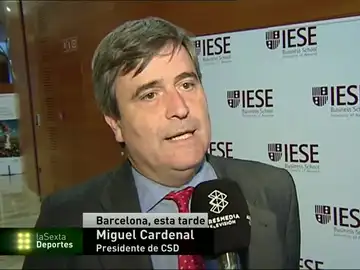Miguel Cardenal, presidente del CSD Miguel Cardenal, presidente del CSD