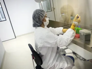 Una investigadora trabajando sobre la vacuna contra la malaria Una investigadora trabajando sobre la vacuna contra la malaria
