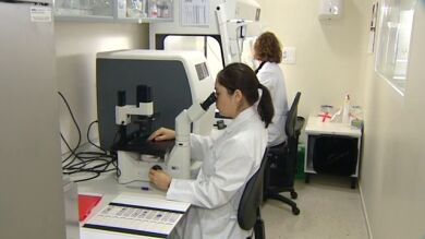 Descubren un mecanismo de reparación de las células que abre perspectivas en la lucha contra el cáncer