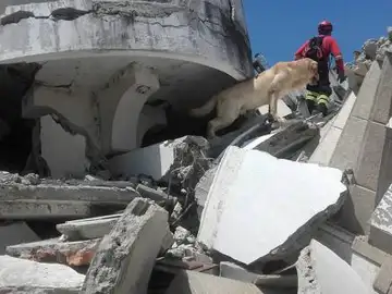 Daiko ayudando en las tareas de rescate del terremoto de Ecuador Daiko ayudando en las tareas de rescate del terremoto de Ecuador