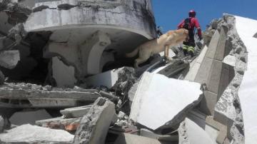 Daiko ayudando en las tareas de rescate del terremoto de Ecuador