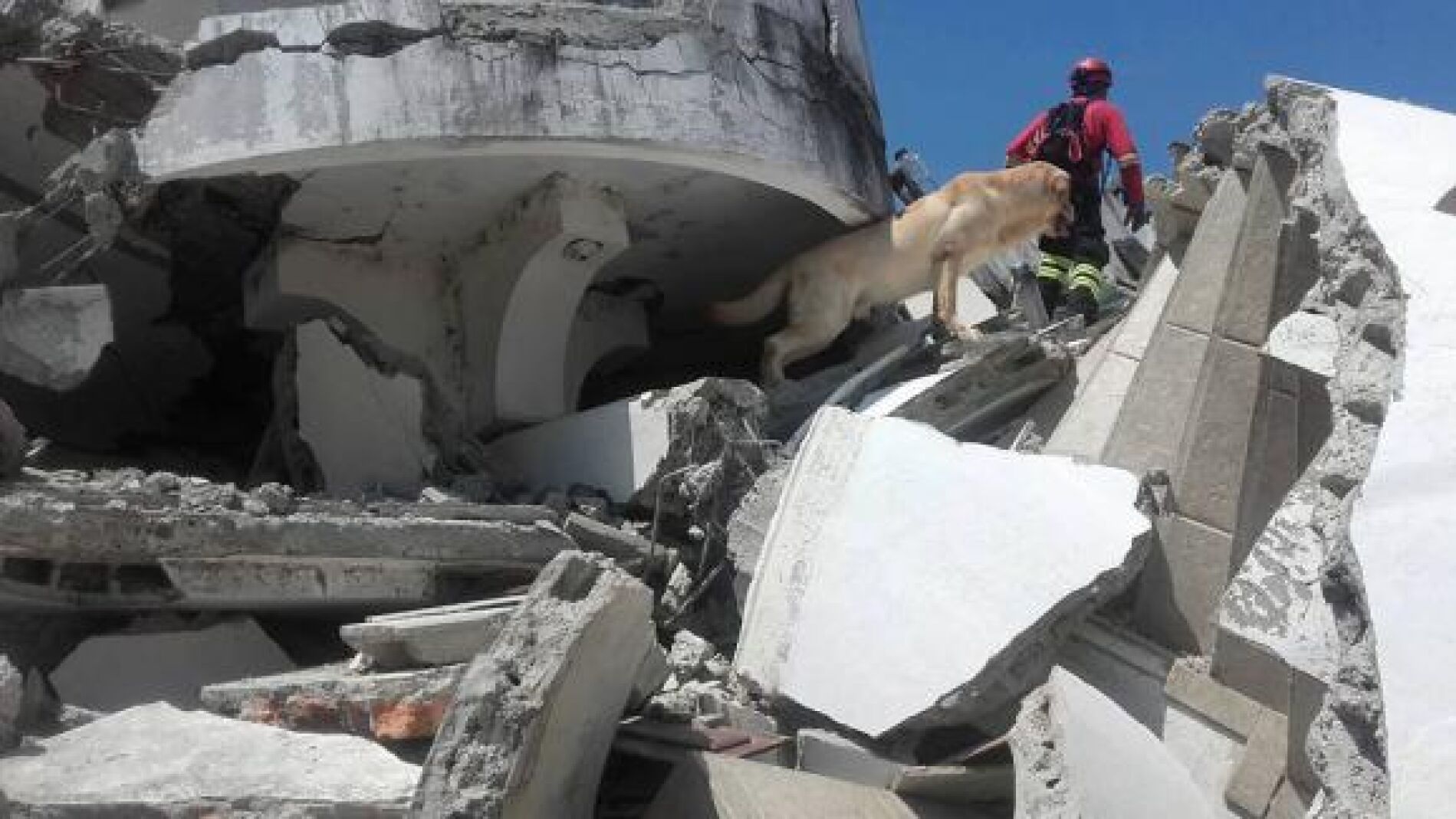 Daiko ayudando en las tareas de rescate del terremoto de Ecuador