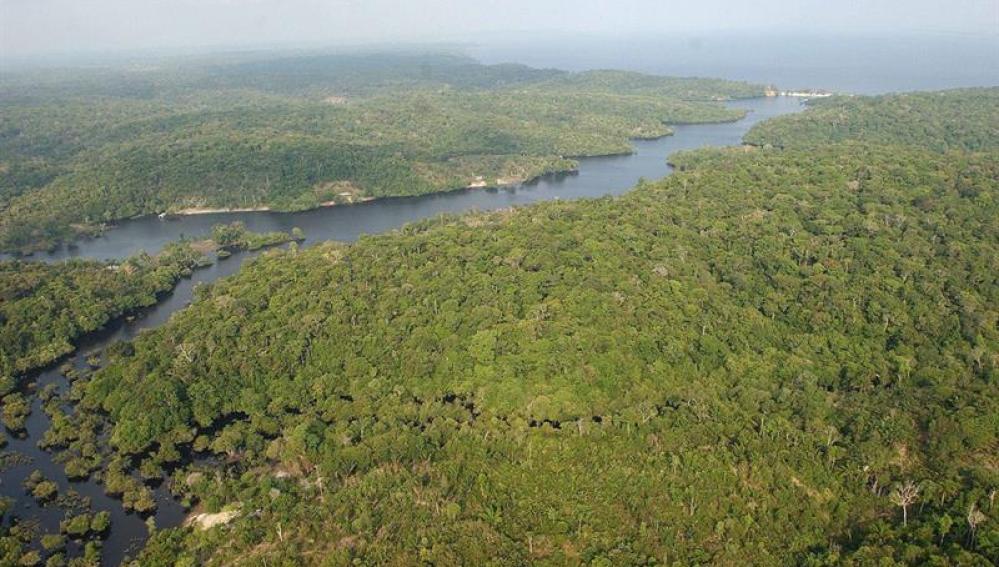 La floresta amazónica brasileña