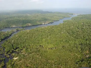 La floresta amazónica brasileña La floresta amazónica brasileña