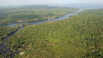 La floresta amazónica brasileña