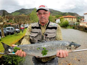 Un salmón 'campanu' pescado en Asturias