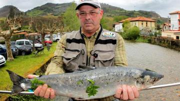 Un salmón 'campanu' pescado en Asturias