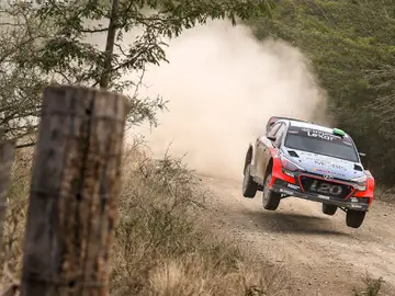 Rally Rally