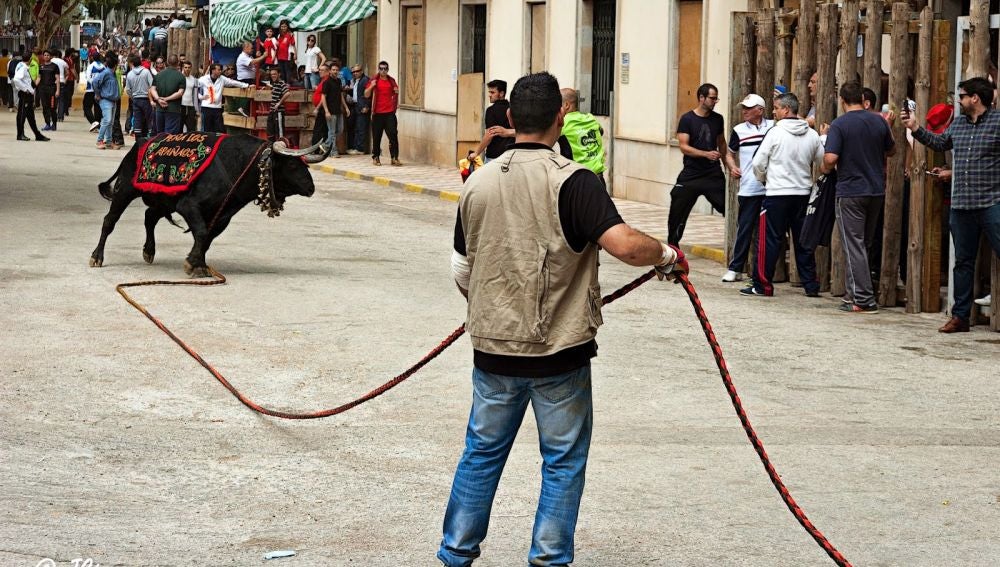 Encierro en Beas de Segura