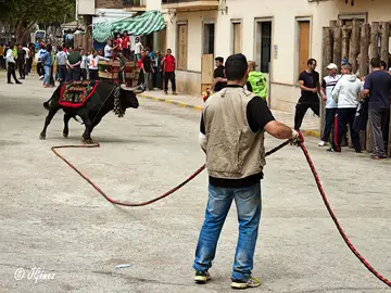 Encierro en Beas de Segura Encierro en Beas de Segura