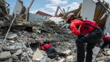 Equipos de rescate busca supervivientes en Ecuador