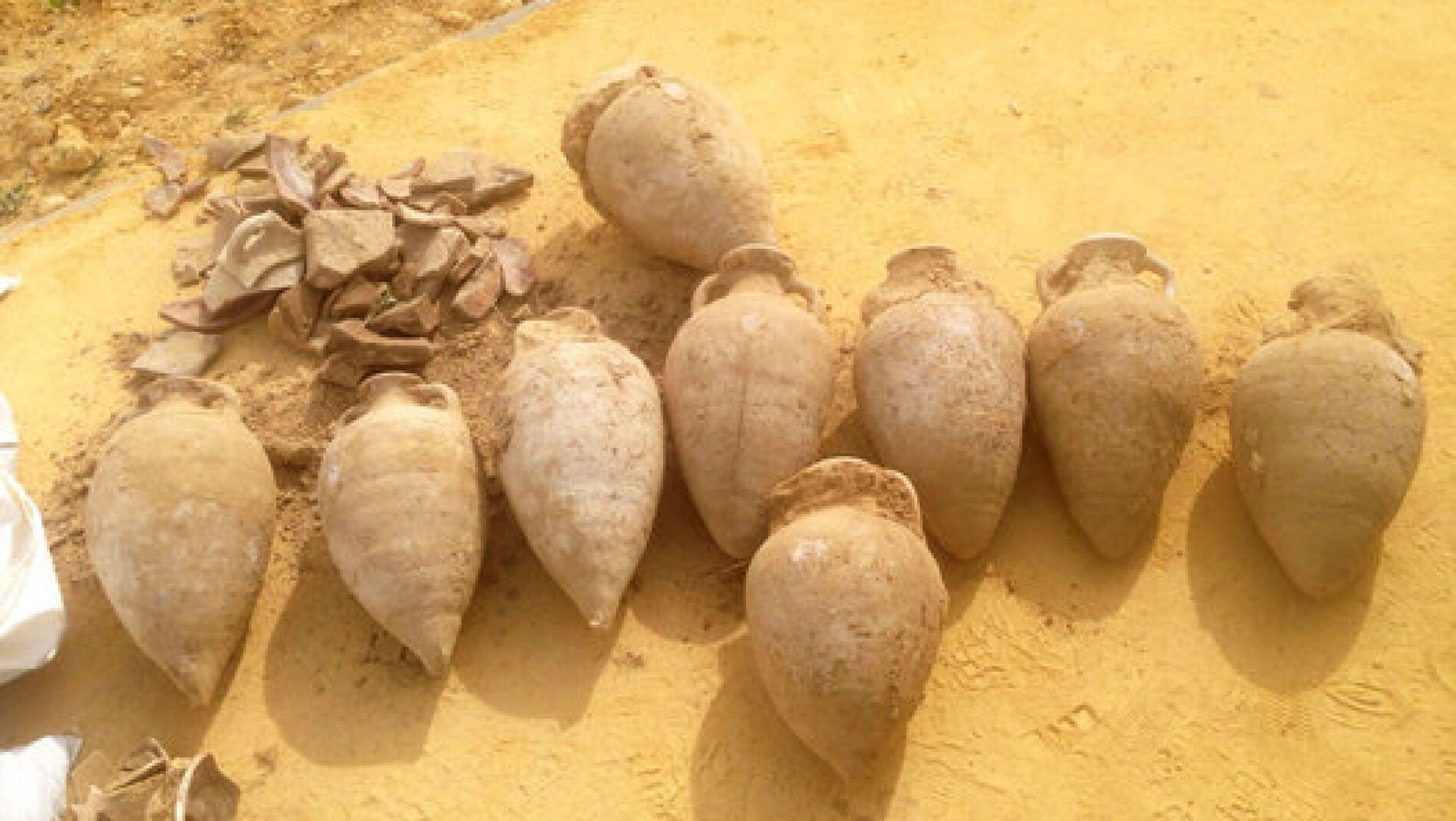 Parte de las &aacute;nforas encontradas