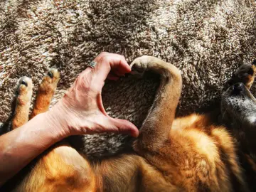Personas y perros Personas y perros