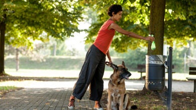 Crean un sistema de ADN canino para delatar a los dueños que no recojan los excrementos de sus perros