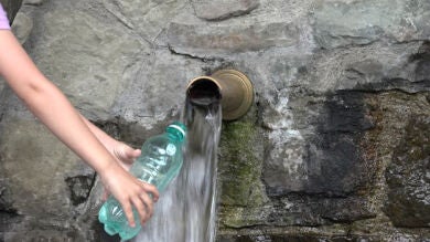 Un compuesto químico utilizado en la fabricación de las botellas de agua puede ser tóxico en ratones