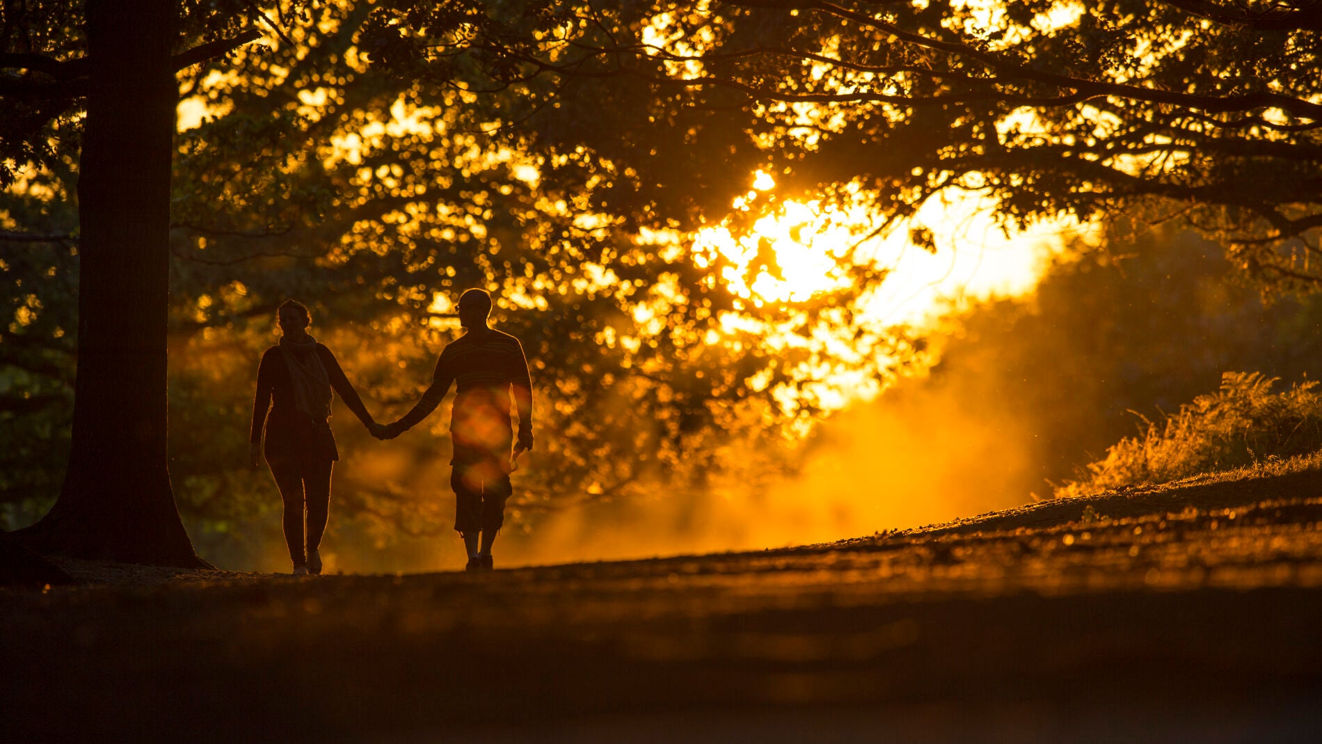 Pareja pasea por un parque