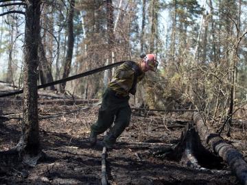 Bomberos trabajan en la zona de Parsons Creek