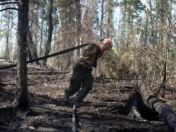 Bomberos trabajan en la zona de Parsons Creek Bomberos trabajan en la zona de Parsons Creek