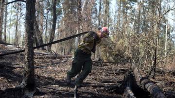 Bomberos trabajan en la zona de Parsons Creek