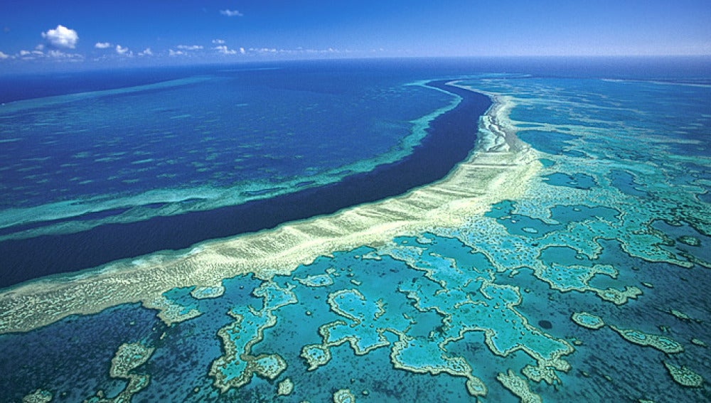 La gran barrera de coral