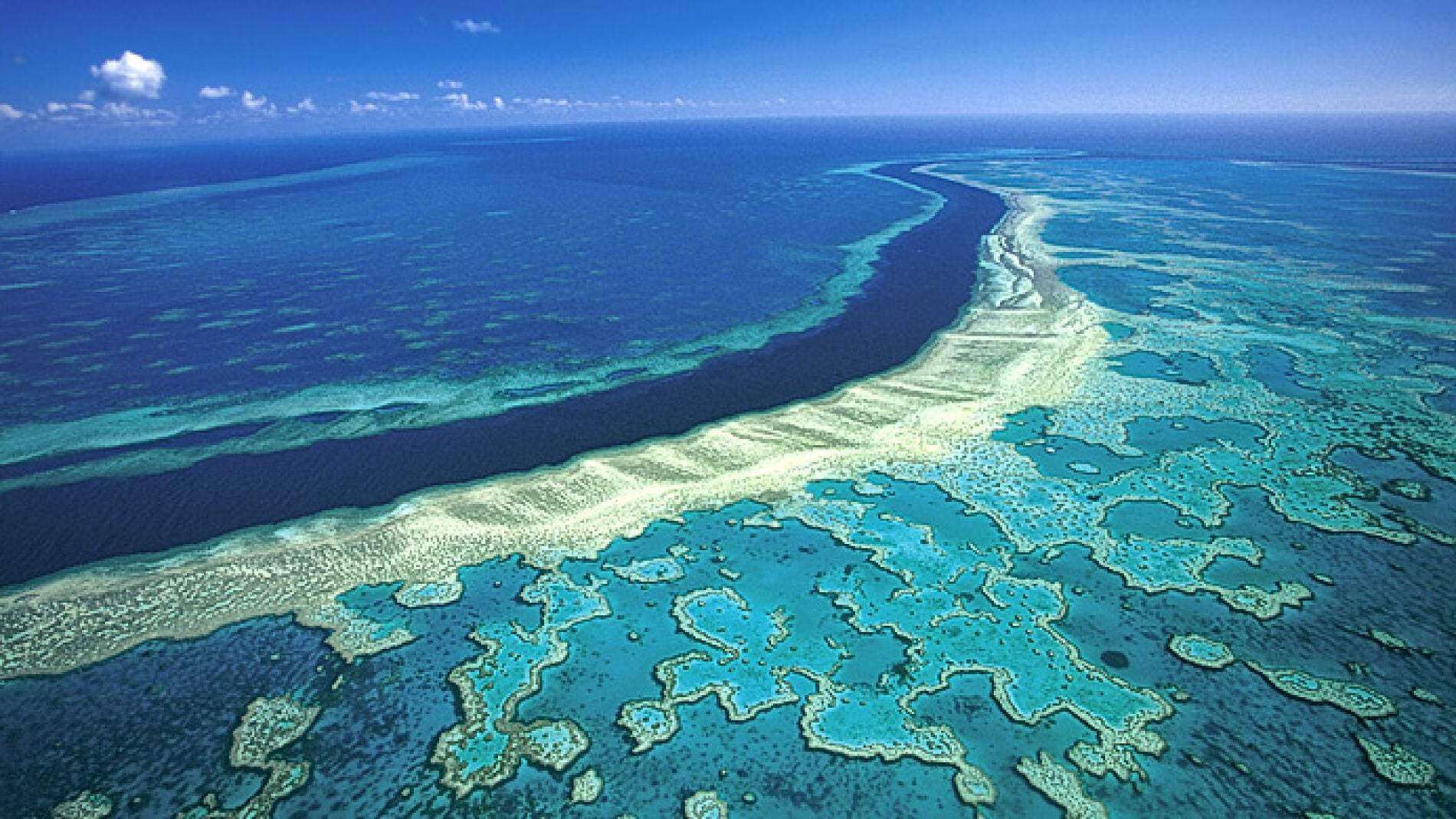 La gran barrera de coral