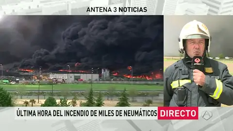 Frame 166.200928 de: entrevista Frame 166.200928 de: entrevista