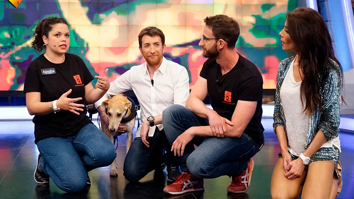 ¿Te gustaría adoptar a Quimi?