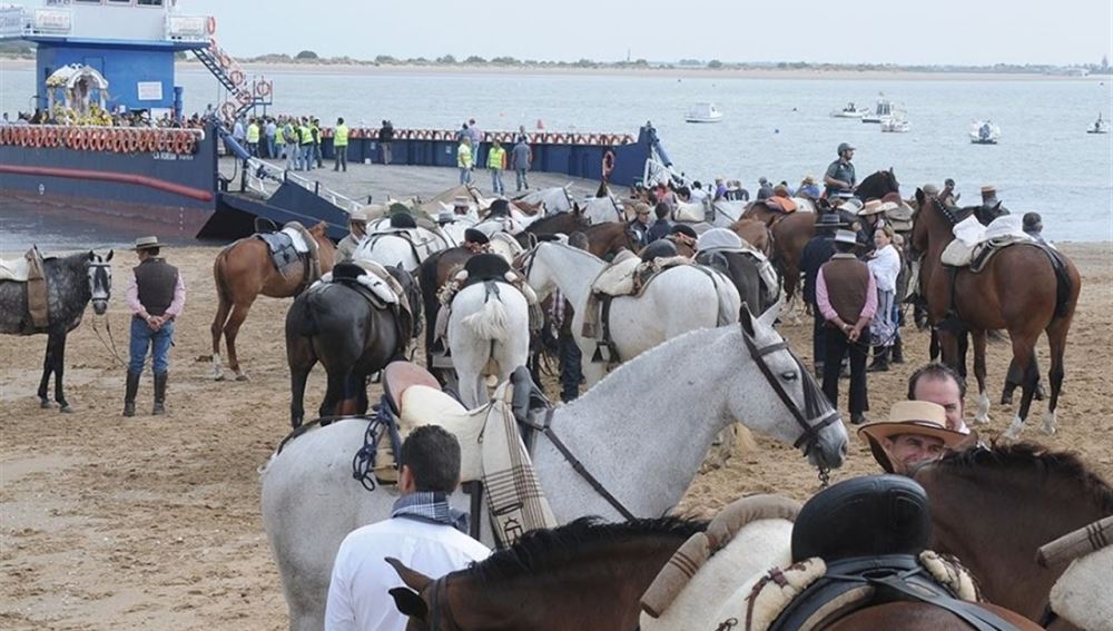 Caballos en la romería del Rocío