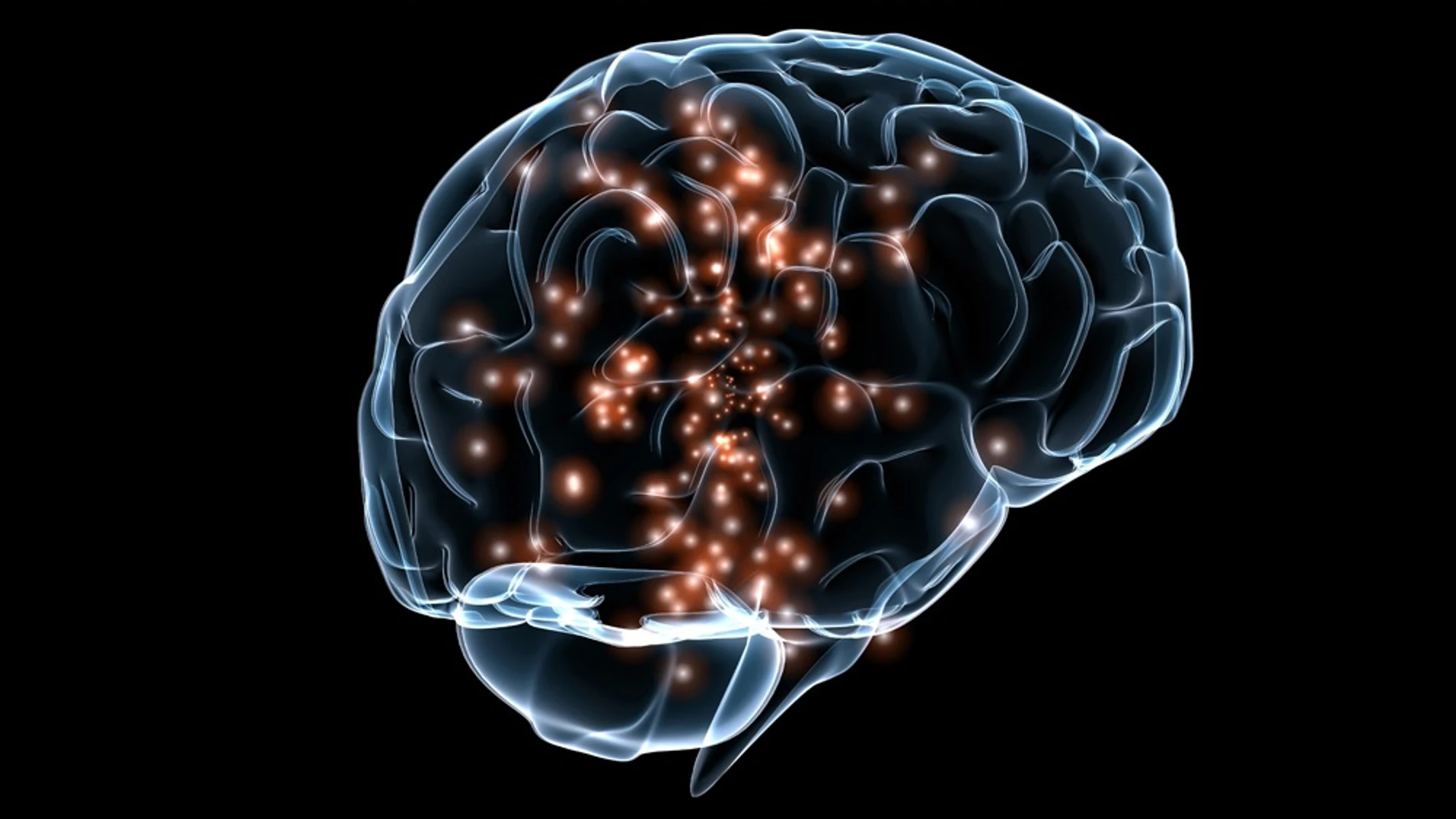Recreación cerebro Recreación cerebro
