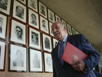 Vicente del Bosque Vicente del Bosque