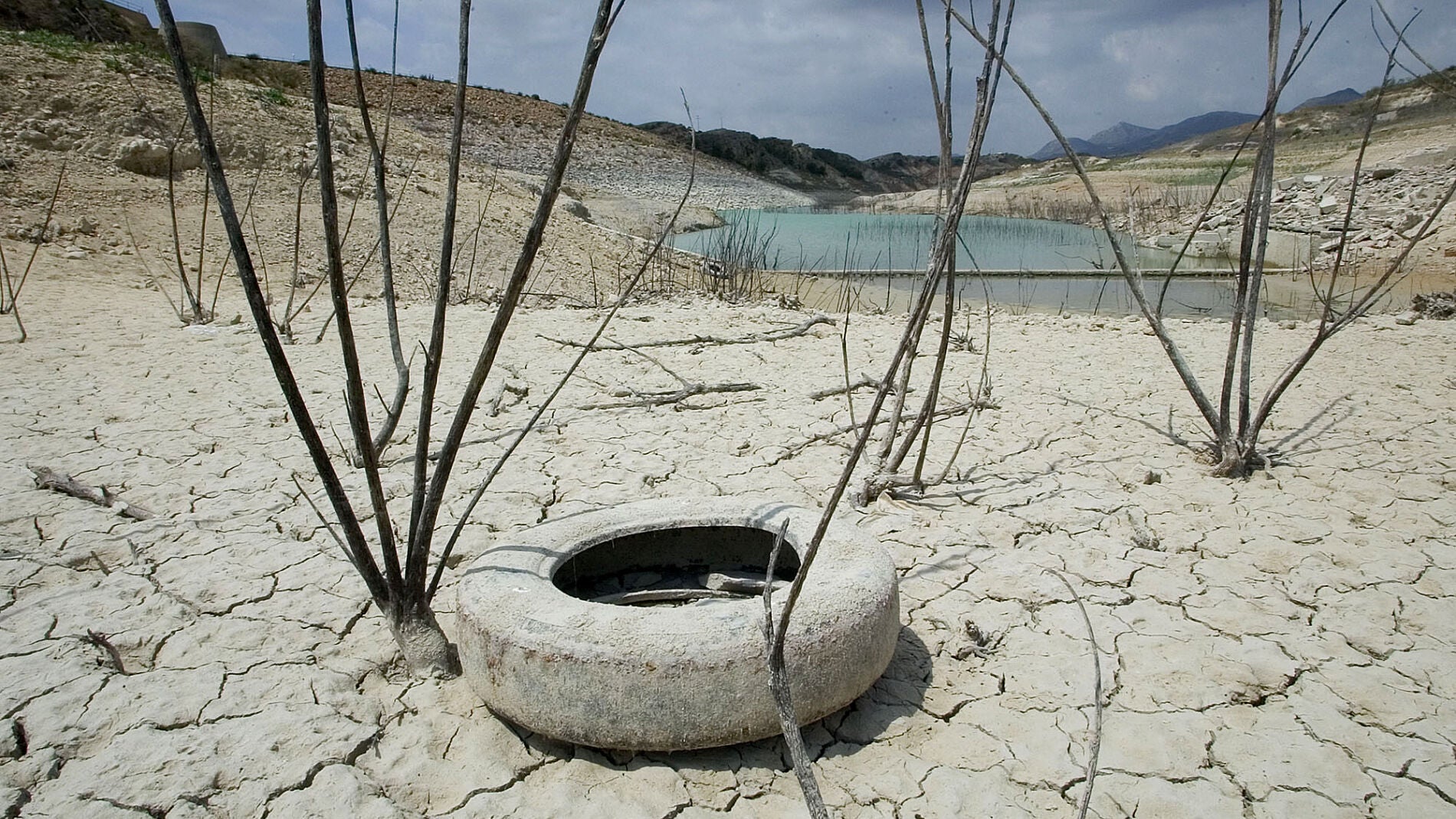 Sequ&iacute;a en una reserva de Crevillente (Valencia).